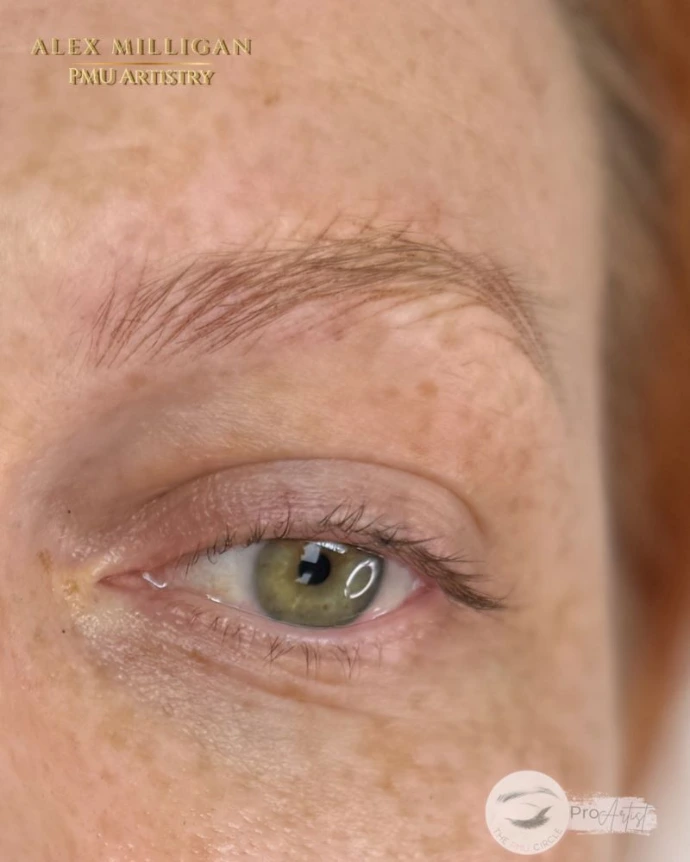 Nano Brows